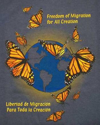Image of Monarch Migration